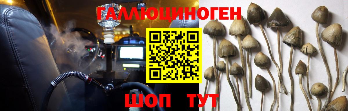 Галлюциногенные грибы MAGIC MUSHROOMS Лабинск